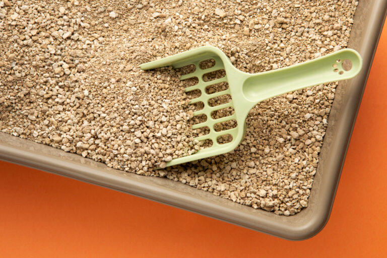 Indústria de Areia Higiênica